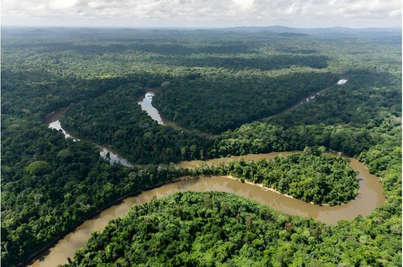 Pueblos de la selva tropical de la Guayana Francesa aislados por la pérdida de una aerolínea